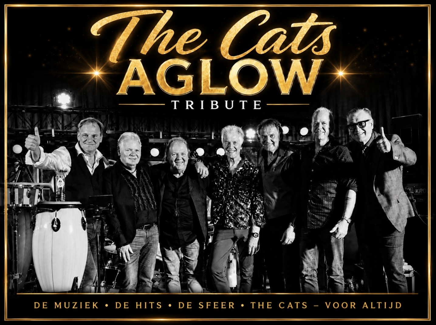 The Cats Aglow